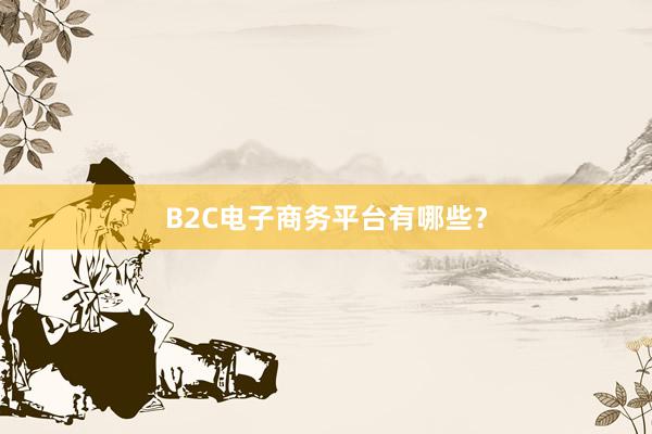 B2C电子商务平台有哪些？