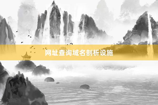 网址查询域名剖析设施