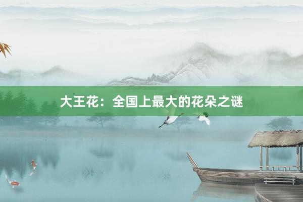 大王花：全国上最大的花朵之谜